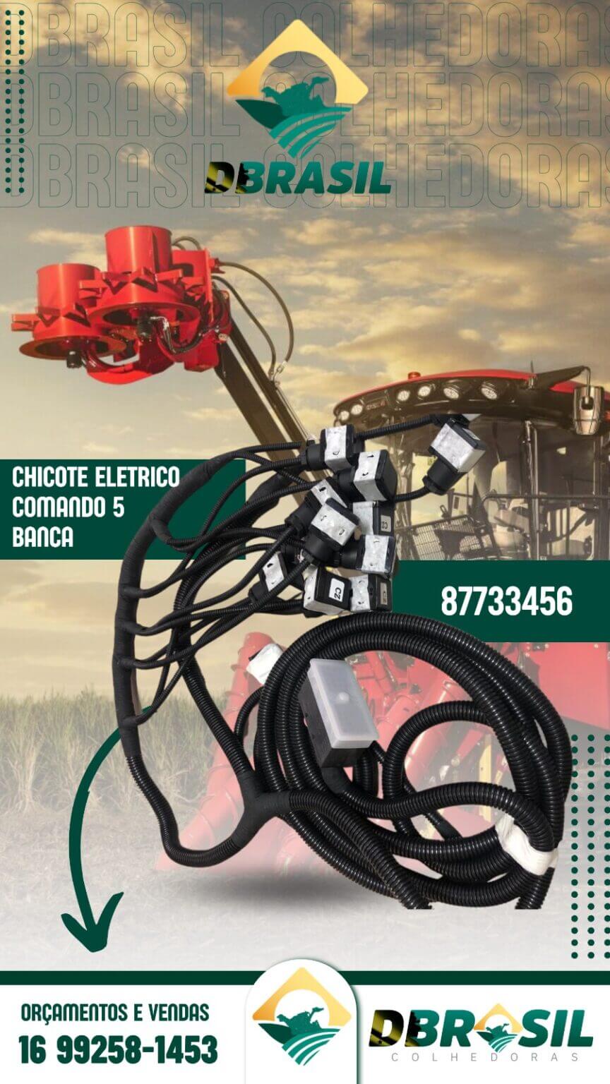 WhatsApp Image 2023-08-07 at 12.44.44 (1)