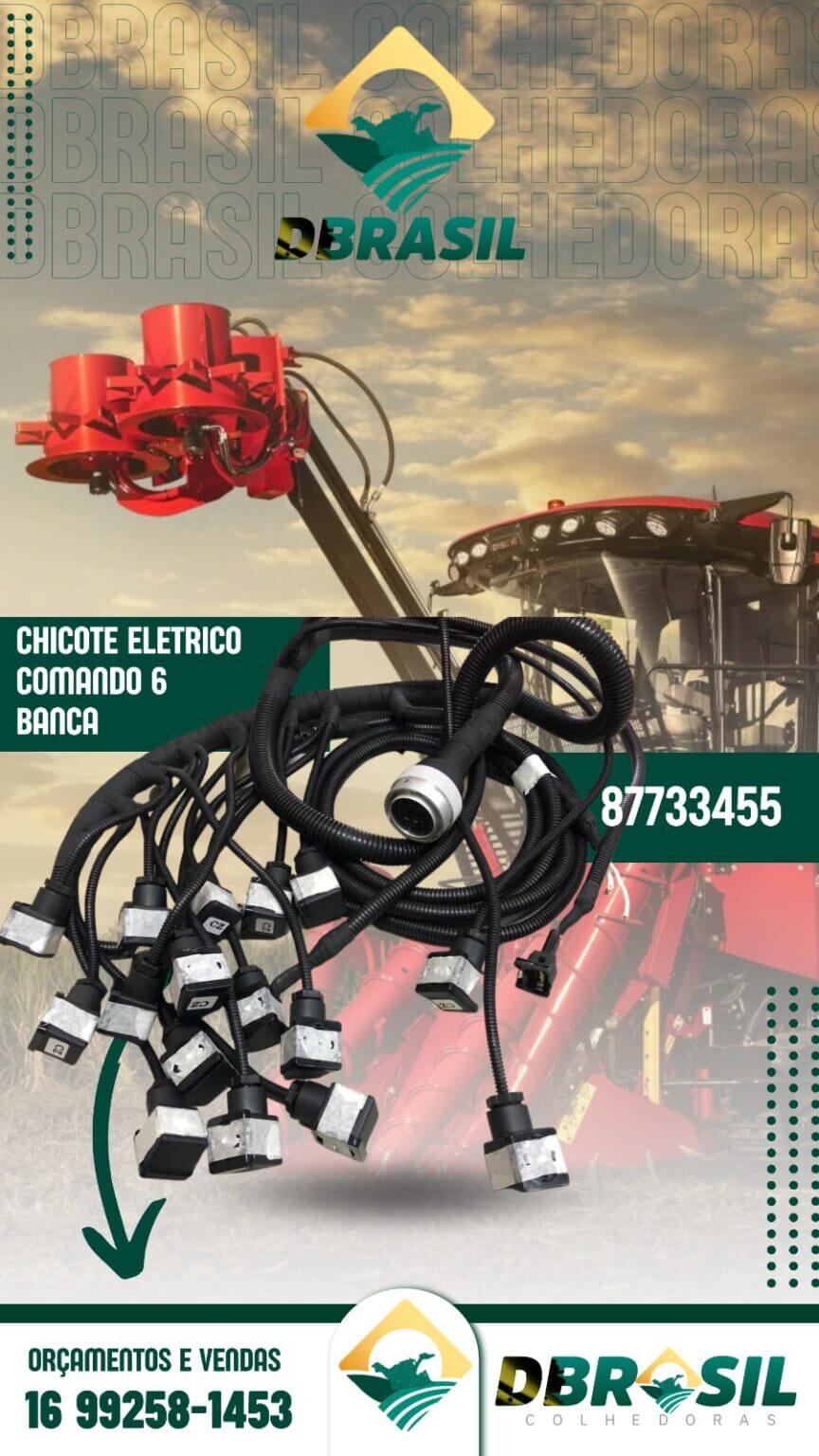 WhatsApp Image 2023-08-07 at 12.44.45 (1)