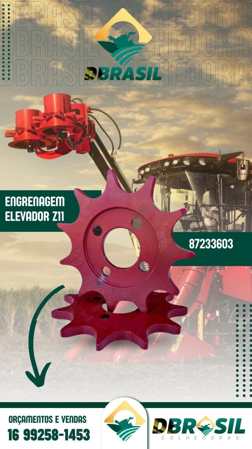 Engrenagem do Elevador Z11