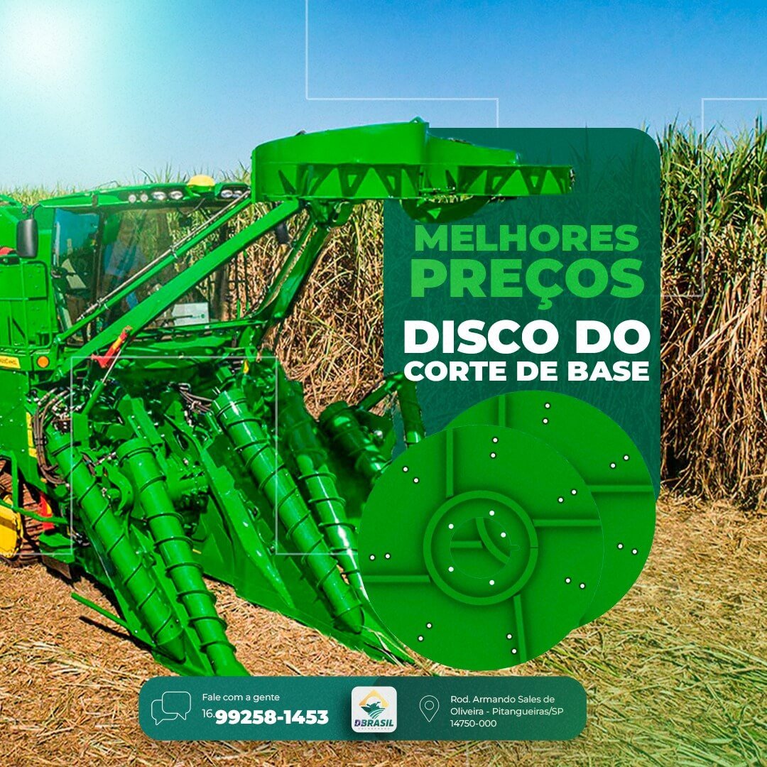 WhatsApp Image 2023-08-10 at 16.31.06