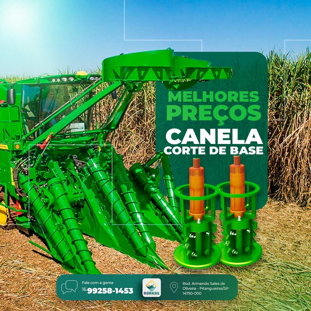 WhatsApp Image 2023-08-10 at 16.31.08 (1)